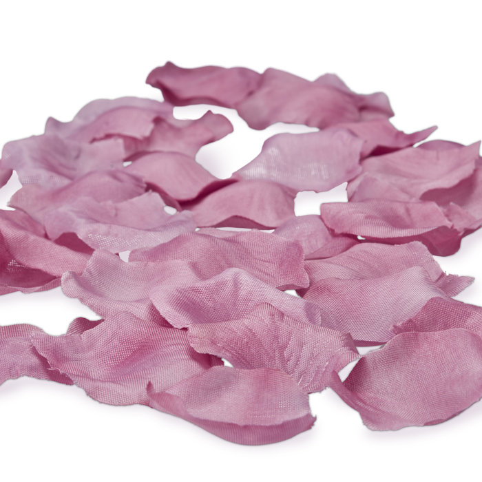 The Party Aisle Künstliche Rosenblätter | Wayfair.de